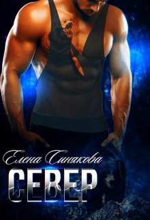 Север (1 книга серии Берсерки) (Елена Синякова)