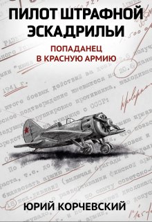 Пилот штрафной эскадрильи (Издательство Феникс)