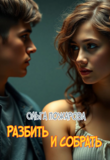 Разбить и собрать (Ольга Пожарова)