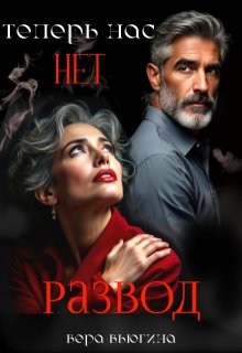 Развод. Теперь нас нет. (Вера Вьюгина)