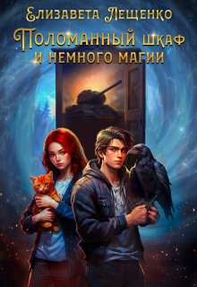 Поломанный шкаф и немного магии (Елизавета Лещенко)
