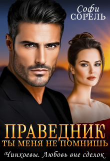 Праведник. Ты меня не помнишь (Софи Сорель)