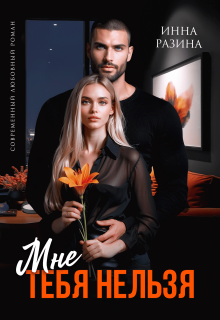 Мне тебя нельзя (Инна Разина)