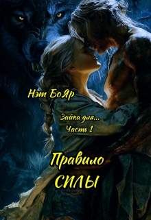 Зайка для… Правило силы (Нэт Бояр)