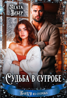 Судьба в сугробе (Агата Вебер)