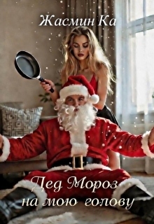 Дед Мороз на мою голову. (Жасмин Ка)