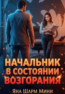 Начальник в состоянии возгорания (Котэха)