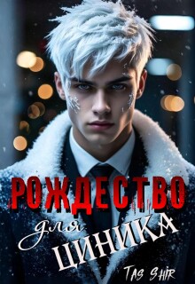 Рождество для Циника (TasShir)