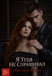 Я тебя не спрашивал (Ангелина Санчос)