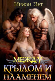 Между крылом и пламенем (Ирион Зет)