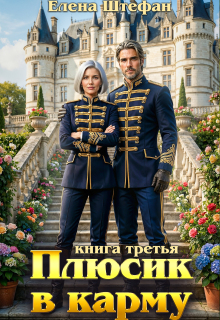 Плюсик в карму. Книга третья (Елена Штефан)