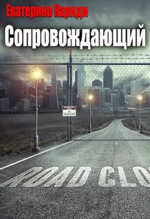 Сопровождающий (Екатерина Кариди)