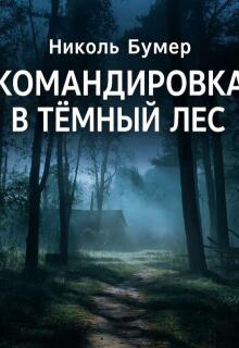 Командировка в темный лес (Татьяна Николенко)