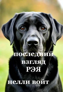 Последний взгляд Рэя (Нелли Войт)