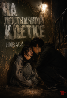 На лестничной клетке (Ниваса)