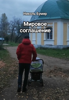 Мировое соглашение (Татьяна Николенко)
