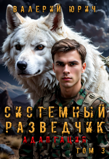 Системный разведчик. Адаптация. Том 3 (Валерий Юрич)