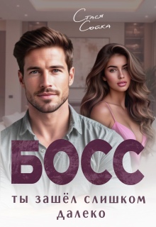 Босс. Ты зашёл слишком далеко (Стася Сойка)