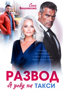 Развод. Я уеду на такси (Соня Вишнякова)