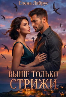 Выше только стрижи (Елена Лабрус)