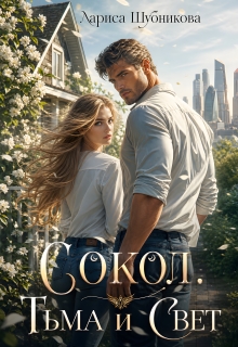 Сокол. Тьма и Свет (Лариса Шубникова)