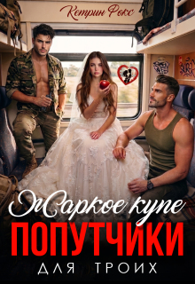 Попутчики. Жаркое купе для троих (Анна Лав)