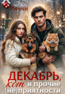 Декабрь, кот и прочие (не)приятности (Джас Риччи)
