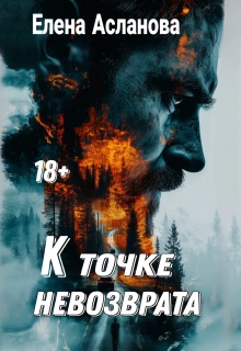 К точке невозврата (Елена Асланова)