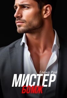 Мистер Бомж (Елена Рай)