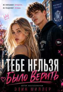Тебе нельзя было верить (Элин Миллер)
