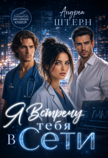 Я встречу тебя в Сети (Андреа Штерн)