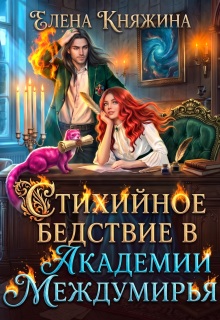 Стихийное бедствие в Академии Междумирья (Елена Княжина)